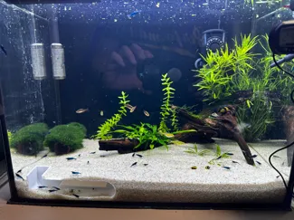Aquarium shrimp cave - quick and easy to print