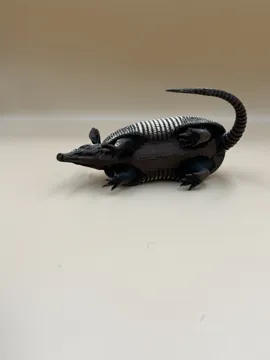 Tapa o cubierta: Little Armored Wanderer – Nine-Banded Armadillo — vista de referencia 4
