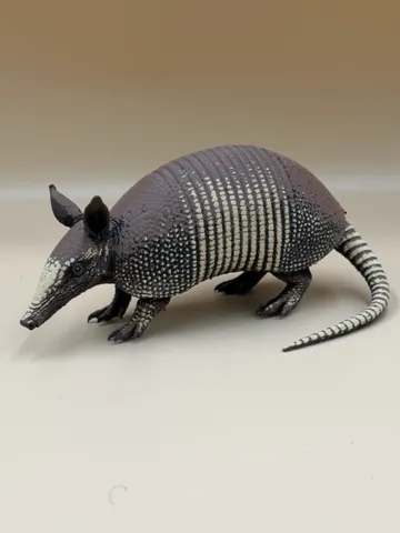 Tapa o cubierta: Little Armored Wanderer – Nine-Banded Armadillo — vista de referencia 2