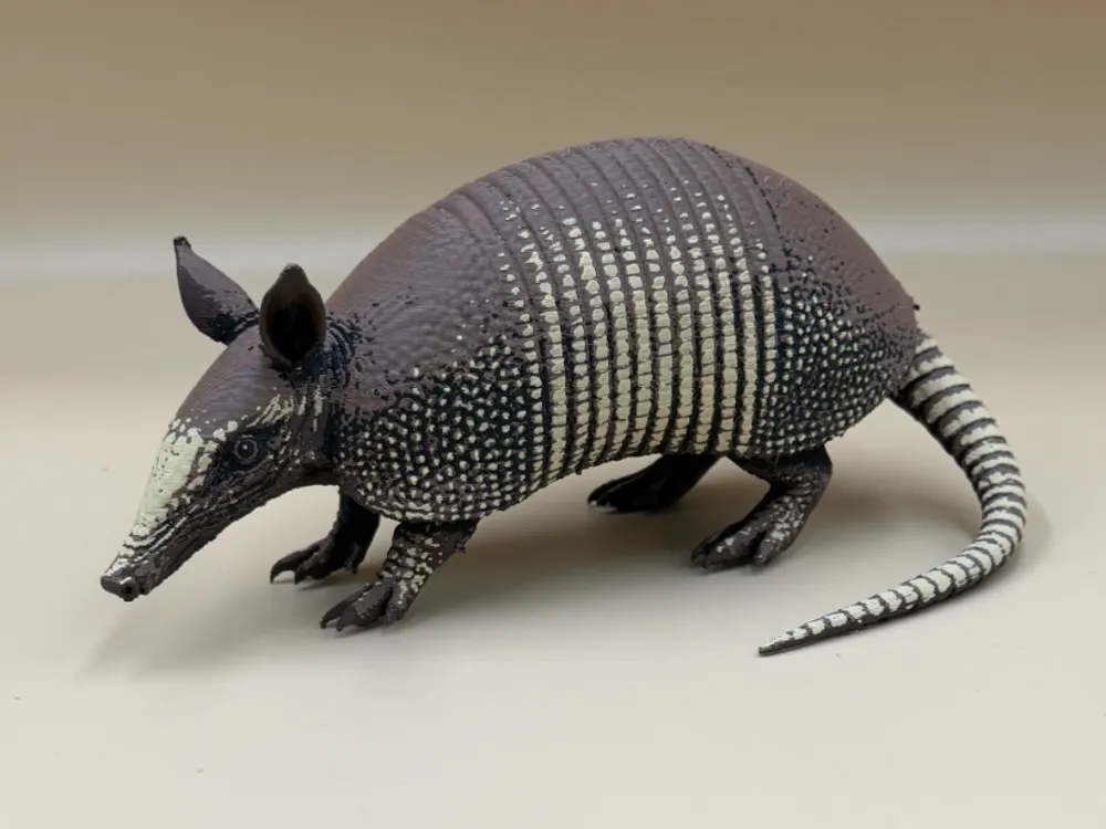 Tapa o cubierta: Little Armored Wanderer – Nine-Banded Armadillo. Referencia del modelo original.