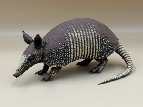 Tapa o cubierta: Little Armored Wanderer – Nine-Banded Armadillo — referencia de MakerWorld