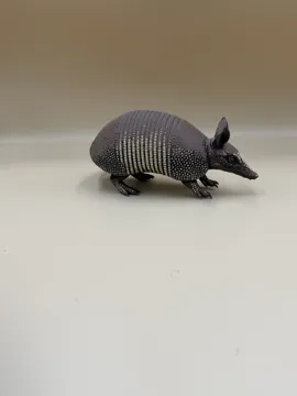 Tapa o cubierta: Little Armored Wanderer – Nine-Banded Armadillo — vista de referencia 3
