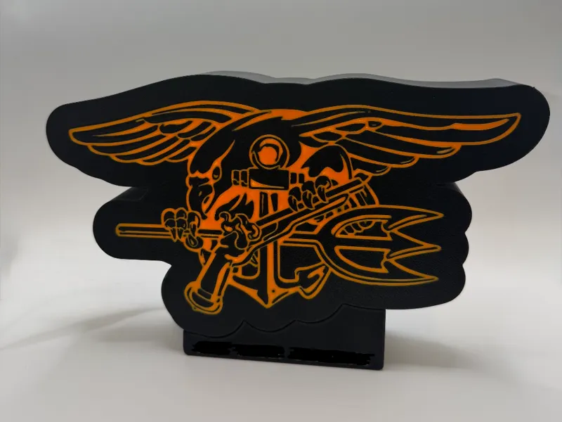 Navy Seal Warfare Pin Light Box