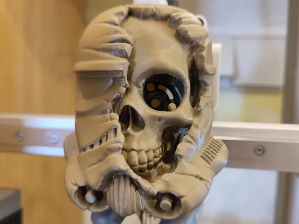 https://makerworld.bblmw.com/makerworld/model/US425d4b9d55e836/design/2025-02-16_40dfb73d68b3a.jpeg
