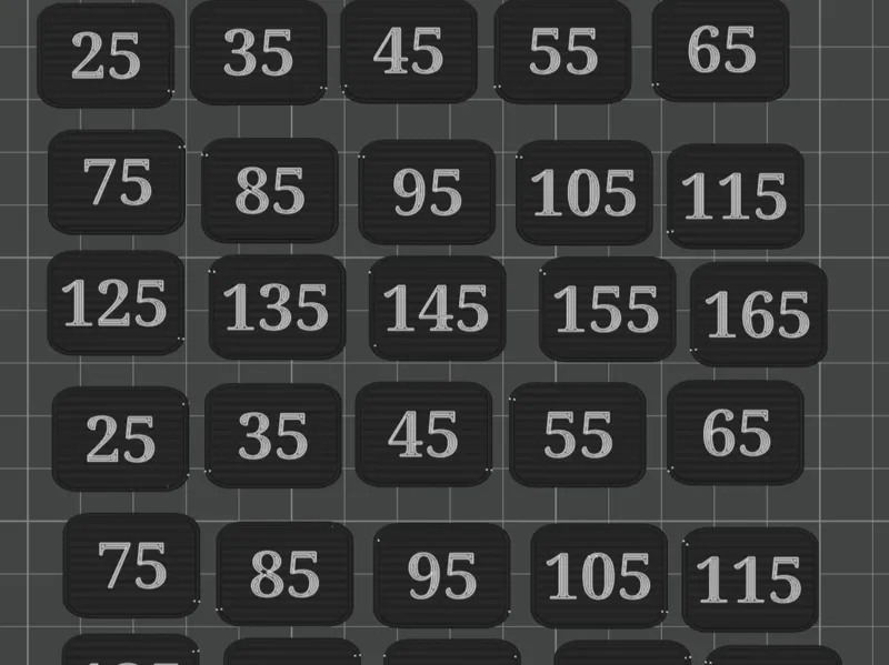 Weight Labels for Inspire FTX Functional Trainer