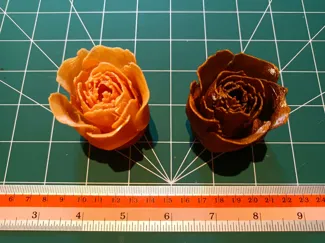 Golden Rose
