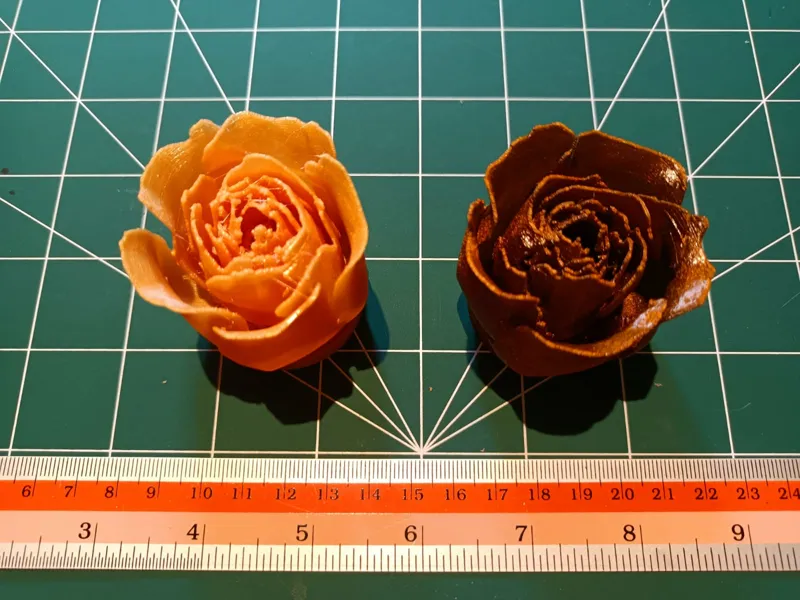 Golden Rose
