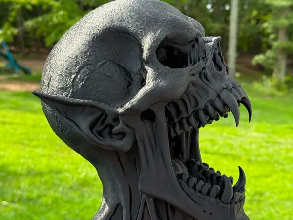 https://makerworld.bblmw.com/makerworld/model/US426ce3ad7e87eb/design/3c89913455c964f2.jpg