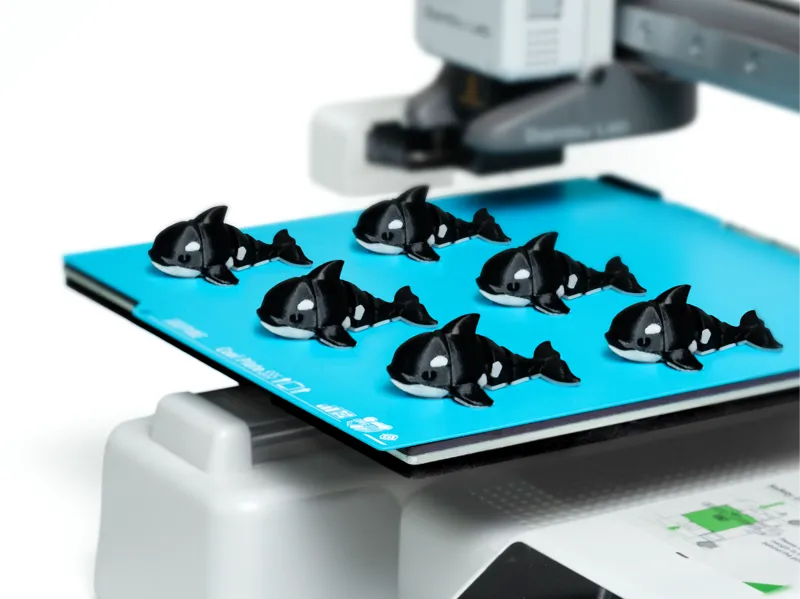 Cute Flexi Orca