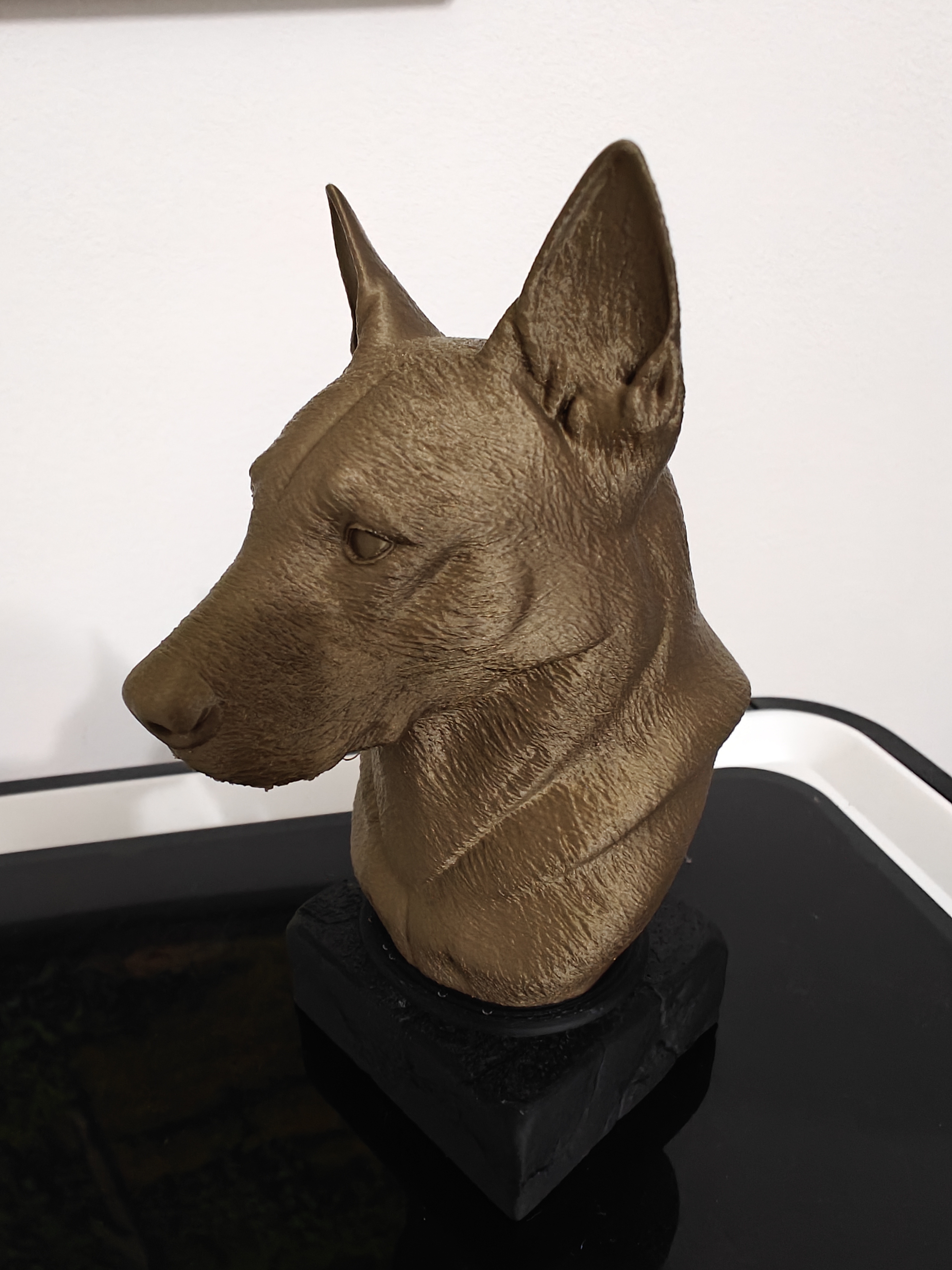 Miniatura 7 do modelo 3D BELGIAN MALINOIS BUST