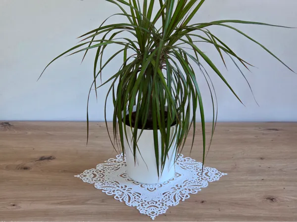 https://makerworld.bblmw.com/makerworld/model/US427cb314ec8e68/design/56a88bbf910d8a08.jpg