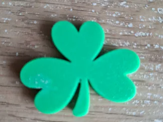 Shamrock fridge magnet 5x3