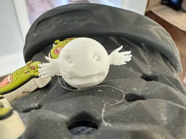 https://makerworld.bblmw.com/makerworld/model/US4284311530d891/design/2025-02-22_3393f5e38fdd2.jpg