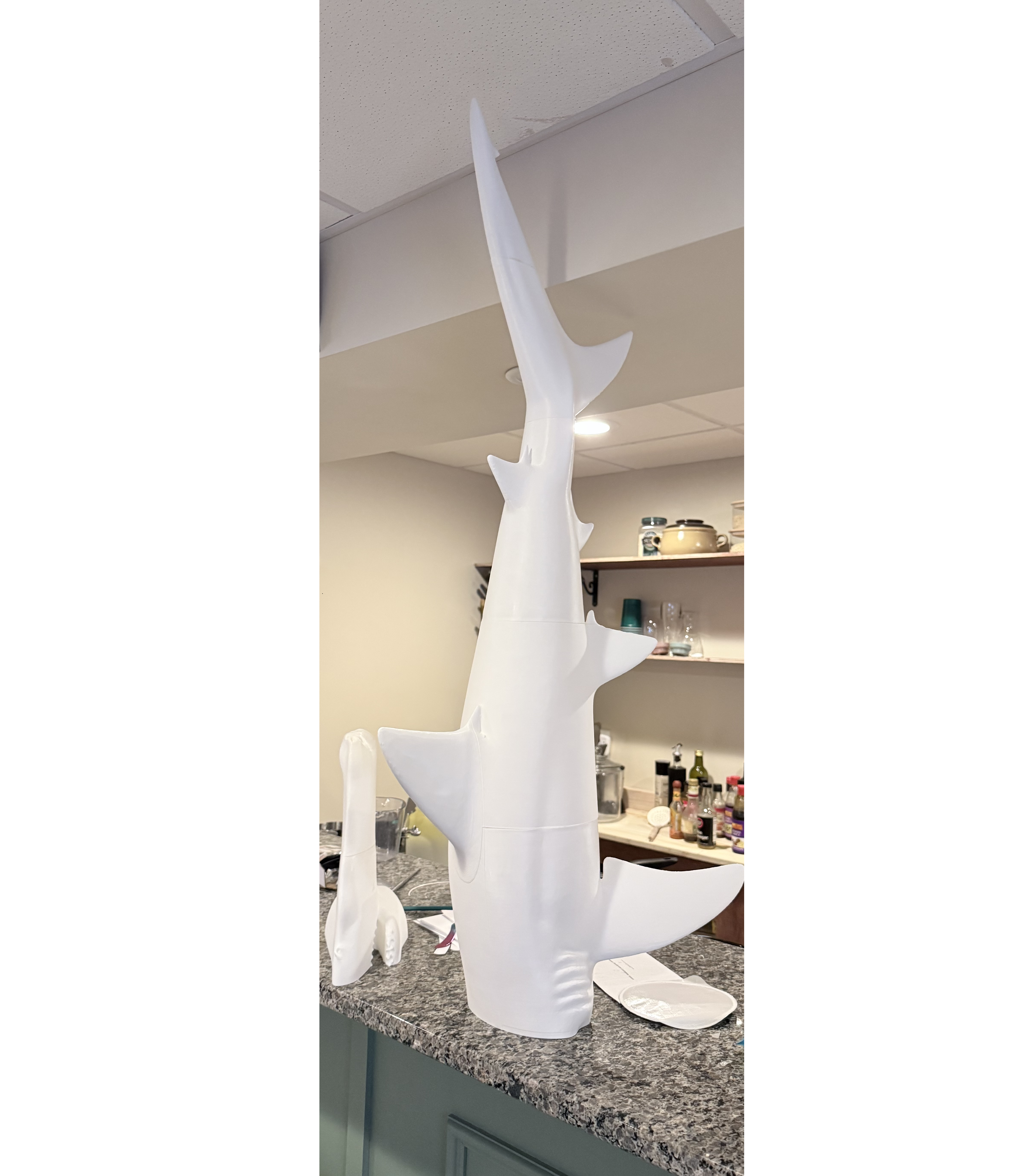 Miniatura 2 do modelo 3D 4ft hammerhead