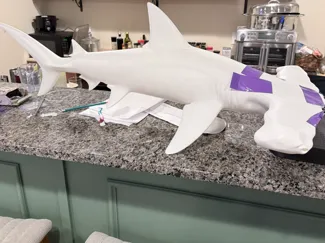4ft hammerhead