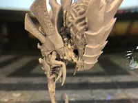 0.08mm layer, 6 walls, 50% infill