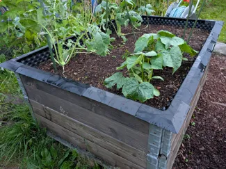 Slug Barrier for Pallet Raised Beds
