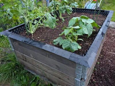 Slug Barrier for Pallet Raised Beds