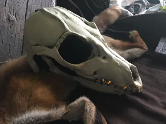 Shaman Mask
