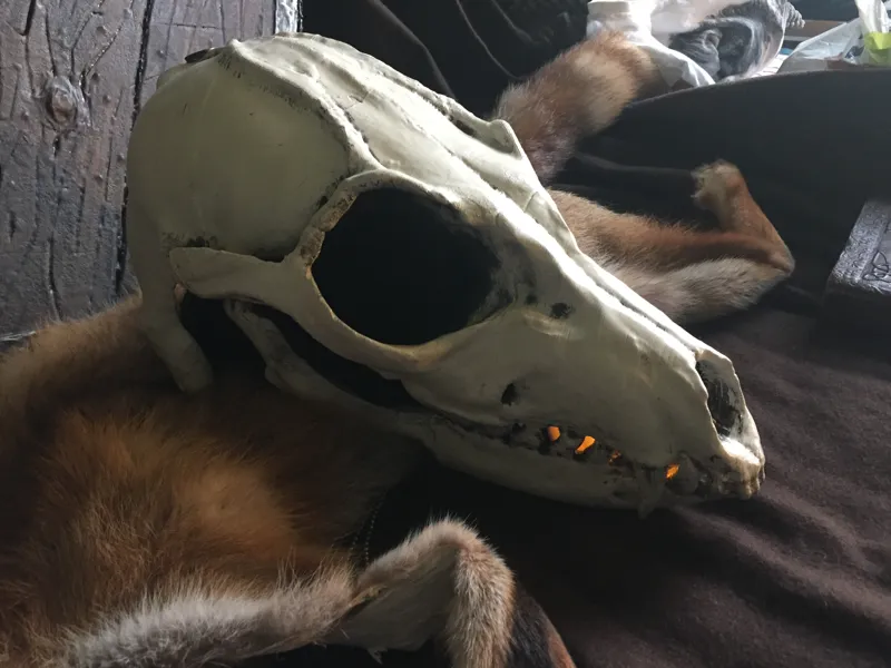 Shaman Mask