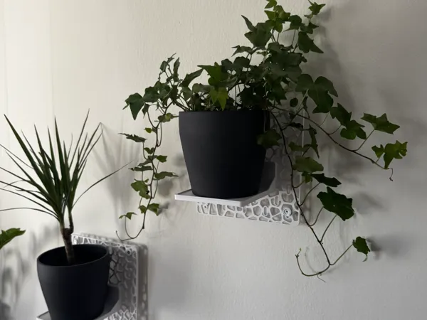 https://makerworld.bblmw.com/makerworld/model/US428d80ebc176f1/design/2025-11-16_f05bf14e0baf6.jpeg