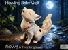 Baby Wolf