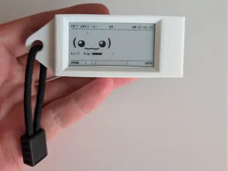 Pwnagotchi Case