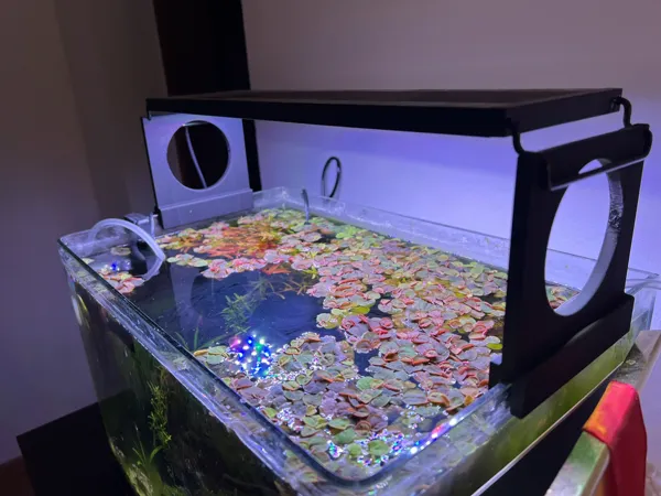 https://makerworld.bblmw.com/makerworld/model/US4291f302a56afb/design/2025-12-15_3cff554ae6b428.jpeg