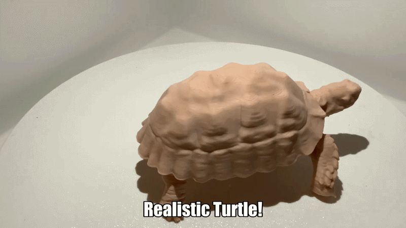 Realistic turtle