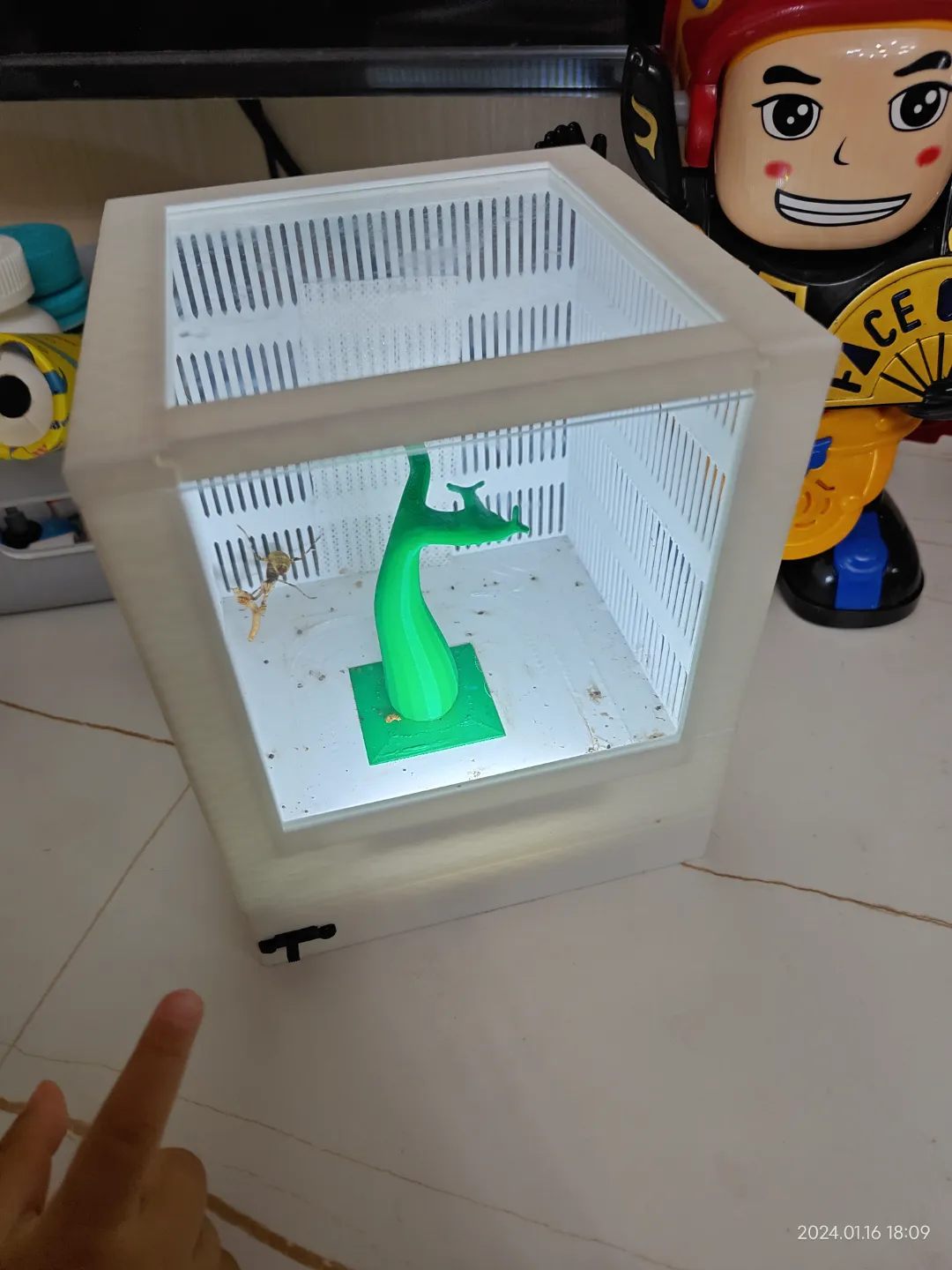 Insect Breeding Cage - Free 3D Print Model - MakerWorld