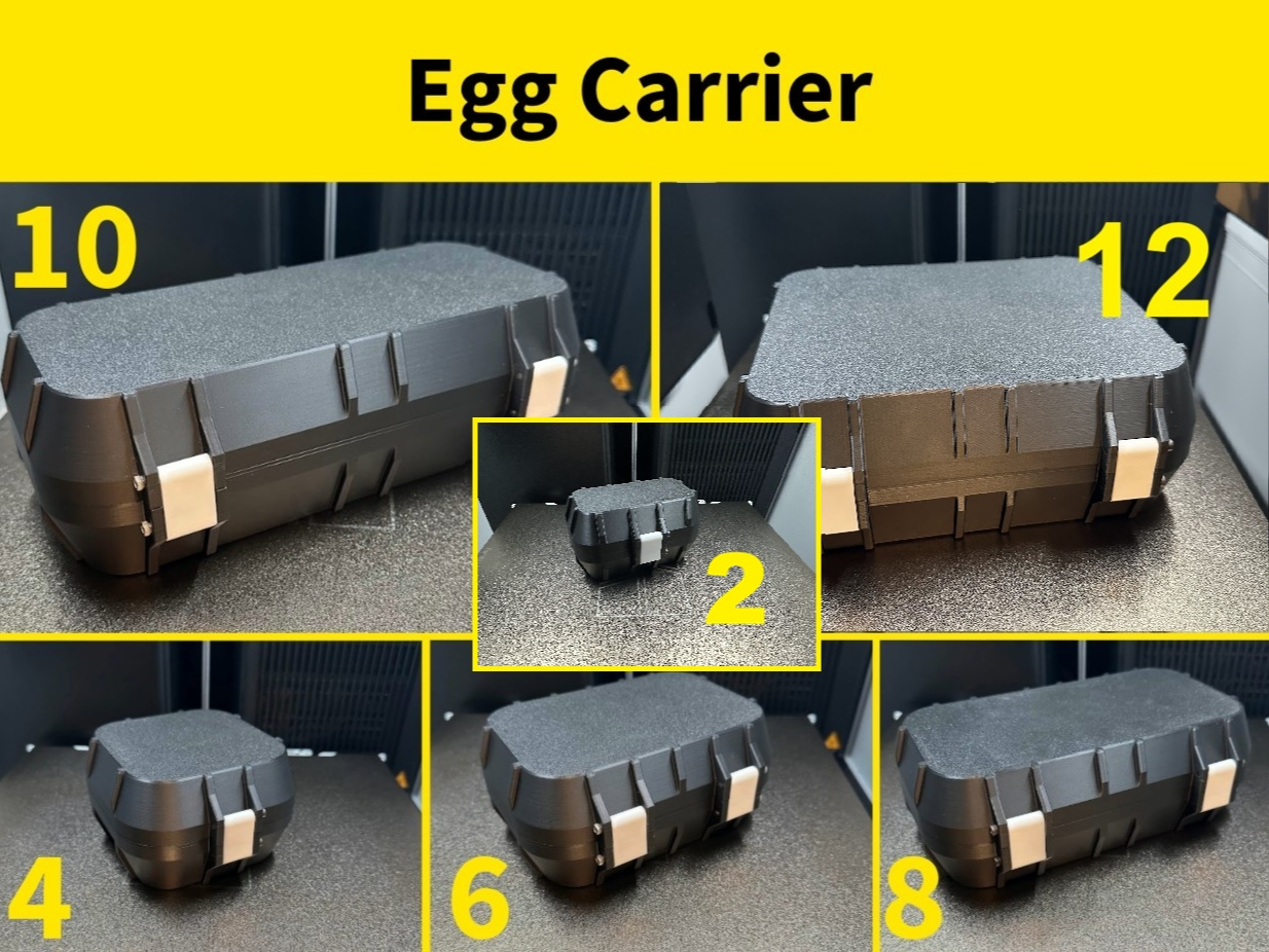 Egg carrier
