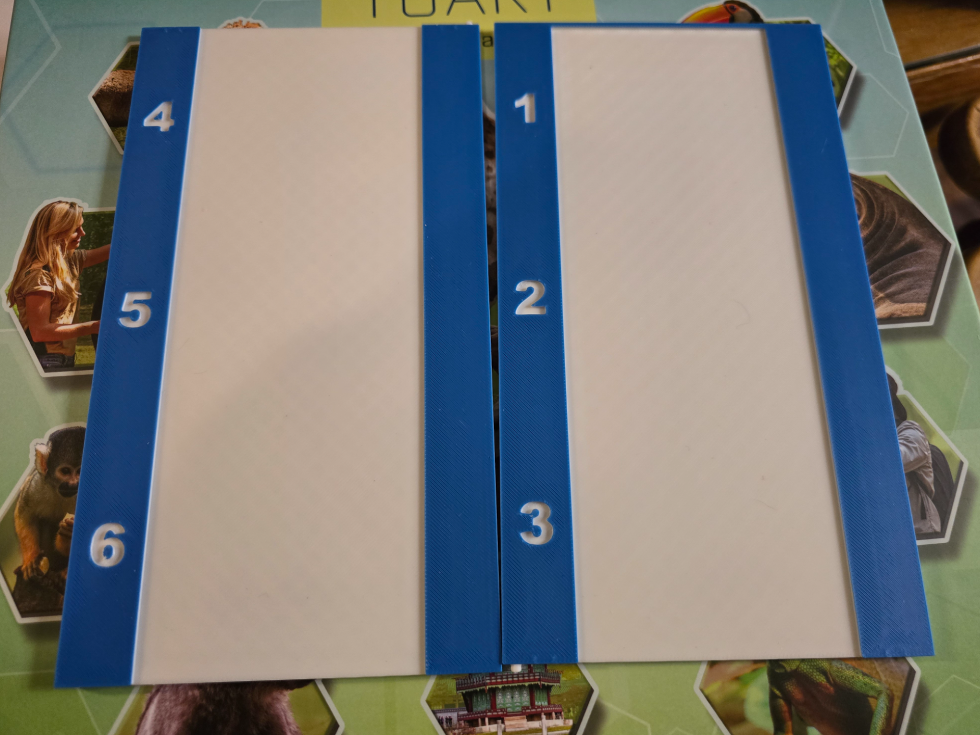 Sanctuary Tile Display