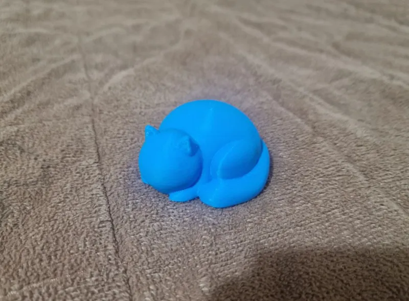 The sleeping cat