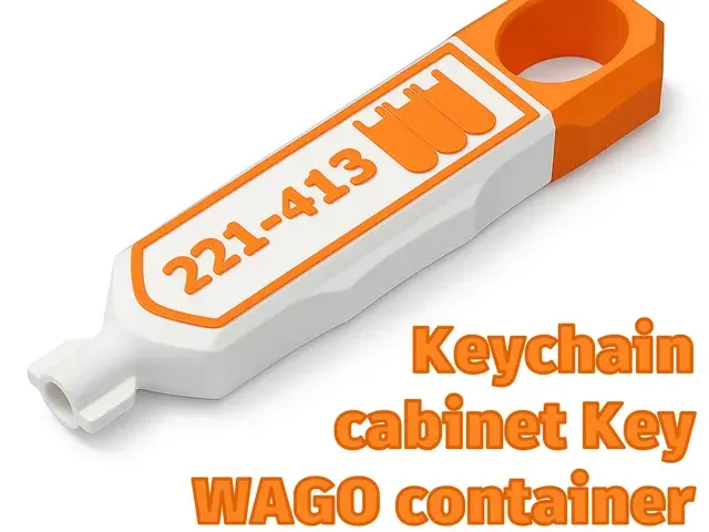 WAGO Keychain // Control cabinet key // Storrage