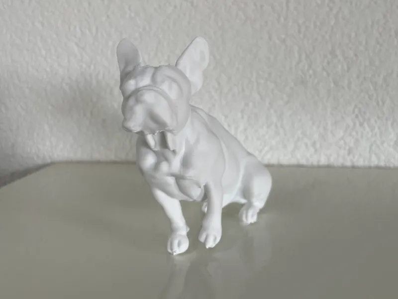 Französische Bulldogge sitzend