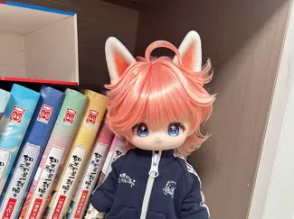 bjd三插六可用兔耳