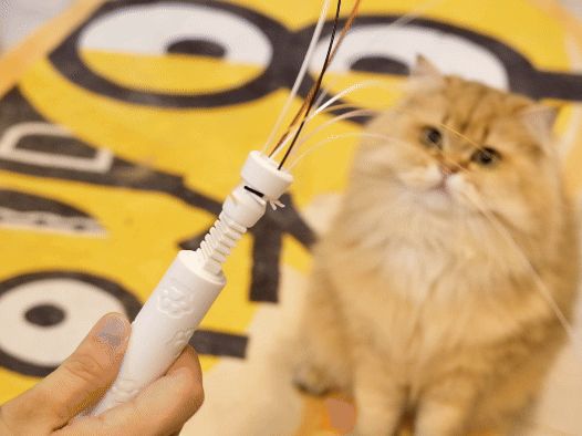 Stretchable Cat Teaser Wand Toy