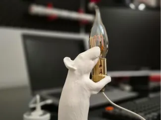 SELETTI MOUSE LOVE