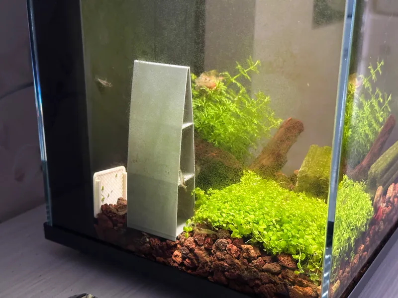 鹦鹉鱼躲避屋
