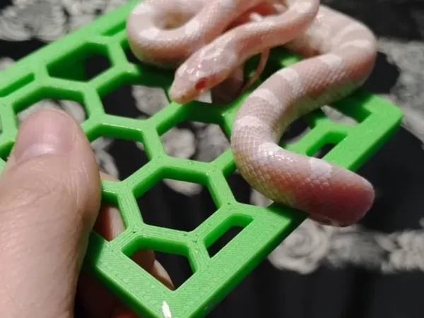 https://makerworld.bblmw.com/makerworld/model/US42beed499bcb82/design/2025-09-15_c90303eb075cc.webp