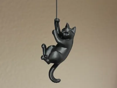 Hanging Cat