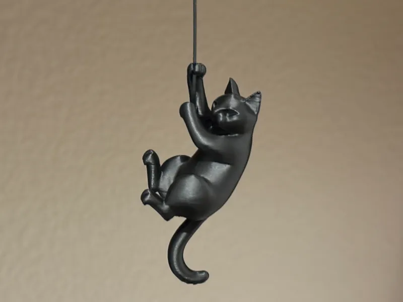 Hanging Cat