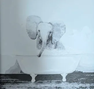 elephant in bath funny hueforge