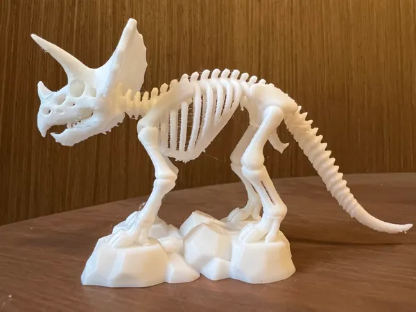 https://makerworld.bblmw.com/makerworld/model/US42c5e589135c2a/design/2025-07-11_799de80560ff38.jpg
