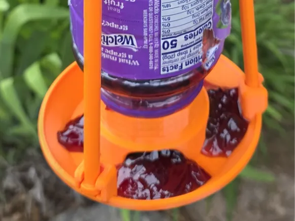Baltimore Oriole Feeder