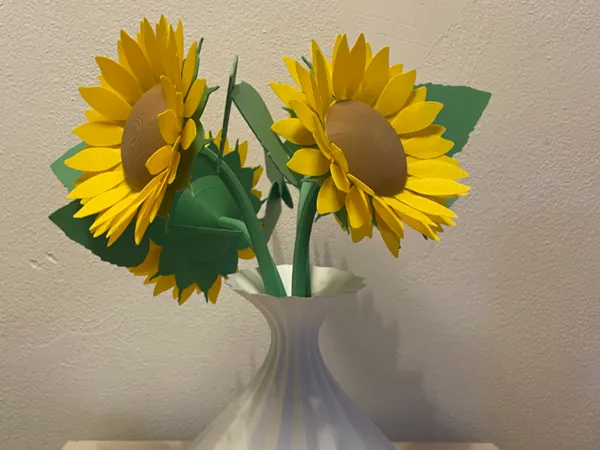 https://makerworld.bblmw.com/makerworld/model/US42d3738008acde/design/2025-01-25_413435e416691.jpg
