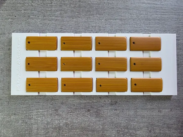 https://makerworld.bblmw.com/makerworld/model/US42d4e5511cad28/design/2025-06-26_ff60174a080a38.jpg