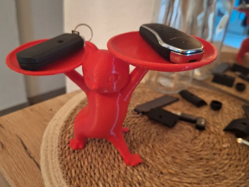 Cat Holder