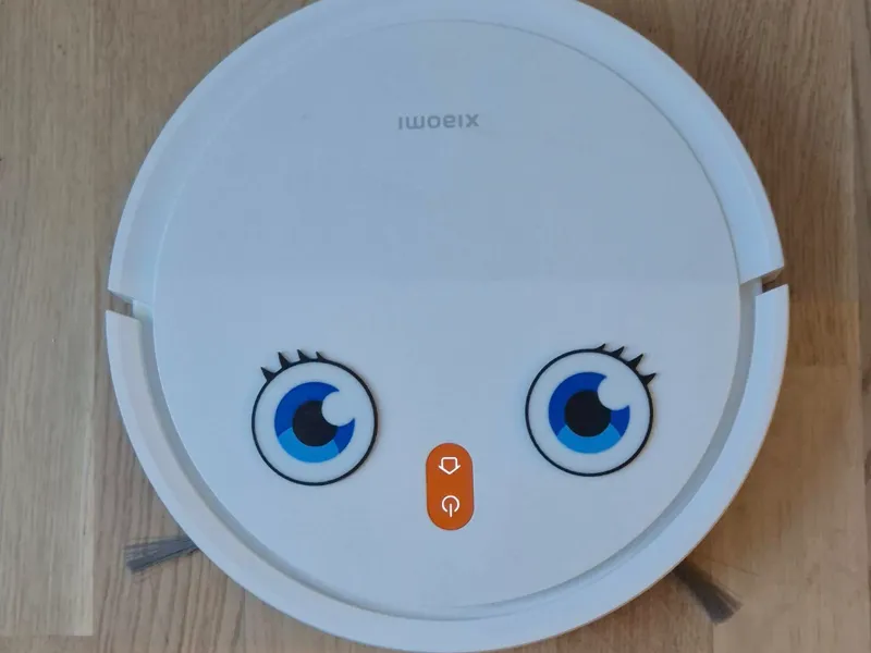 Olga - Robot vaccum eyes!