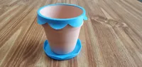 Scallop Saucer